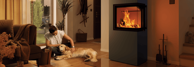 Ein Kaminofen mit loderndem Feuer steht in einem Wohnzimmer, daneben liegt ein Hund auf dem Boden, der von einer Frau gestreichelt wird.